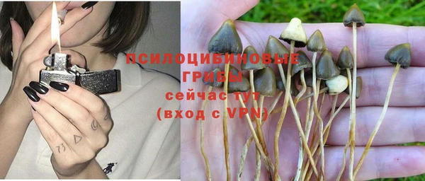 тгк Баксан